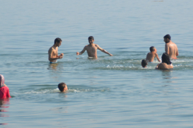 deniz-anka