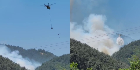 Manisa’nın Soma ilçesinde orman yangını