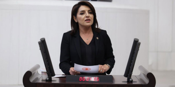 CHP’li Kış: Saray, emeklinin bir aylık maaşını 43 saniyede harcıyor
