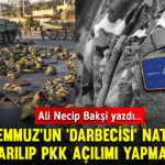 alinecipbaksi