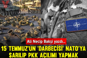 alinecipbaksi