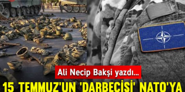 alinecipbaksi