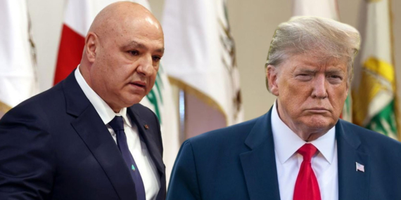 avntrump