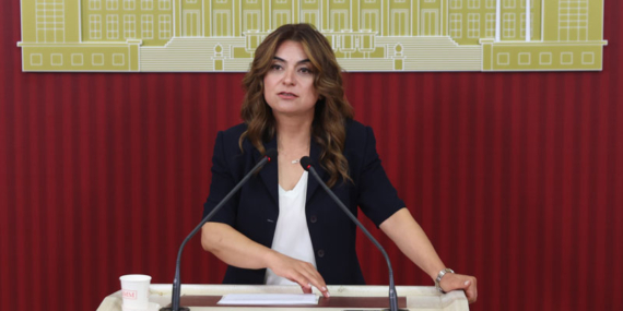 DEM Partili Koçyiğit: ‘Çerçeve yasa taslağının bu hafta İmralı Heyeti’ne sunulmasını bekliyoruz’