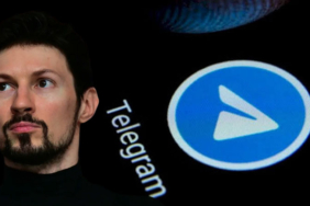 paveltelg