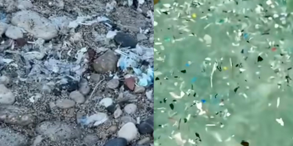 Kopyala yapıştır eylem planı!