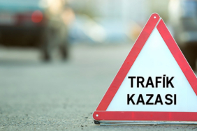 kaza-temsili-anka