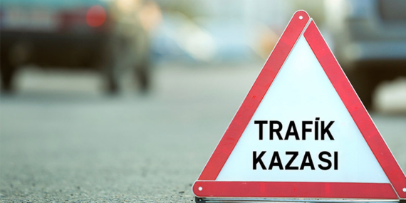 kaza-temsili-anka