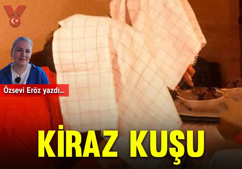 ozsevikpk