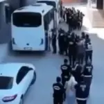 siberone