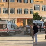 000001manisa