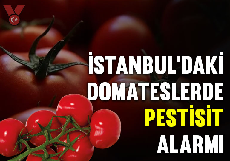İstanbul’daki domateslerde ‘pestisit’ alarmı