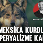 meksikakurt