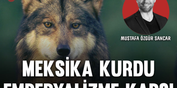 meksikakurt