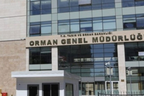 ogm