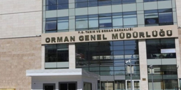 ogm