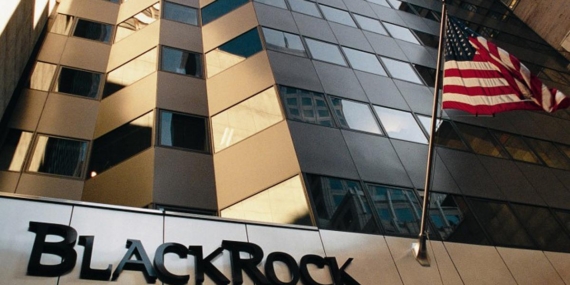 Tera Yatırım’ın dikkat çeken BlackRock bağlantısı