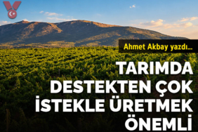 ahmetkpk