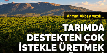 ahmetkpk