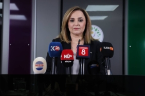 aysegul-dogan