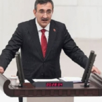 cevdetone