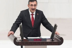 cevdetone
