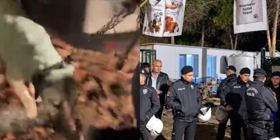 Ege Üniversitesi’ne gece yarısı baskını: Yaklaşık 200 köpek toplatıldı