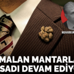 karanfilcikapak