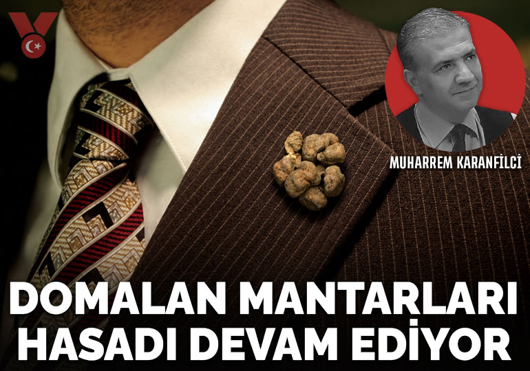 Domalan mantarları hasadı devam ediyor