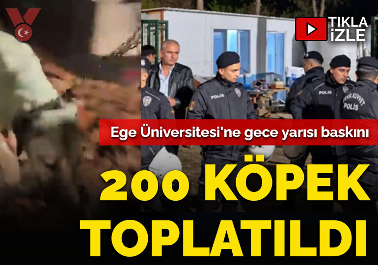 Ege Üniversitesi’ne gece yarısı baskını: Yaklaşık 200 köpek toplatıldı
