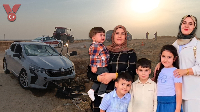 mardinone