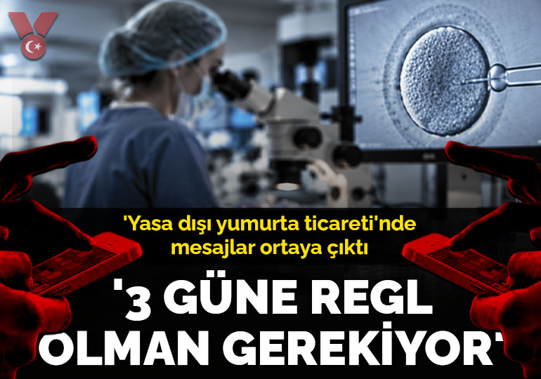 ‘Yasa dışı yumurta ticareti’ soruşturmasında mesajlar ortaya çıktı: ‘3 güne regl olman gerekiyor’