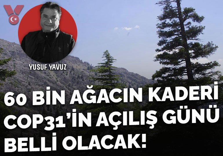 60 bin ağacın kaderi COP31’in açılış günü belli olacak!