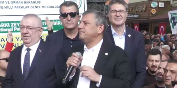 zogurzogel