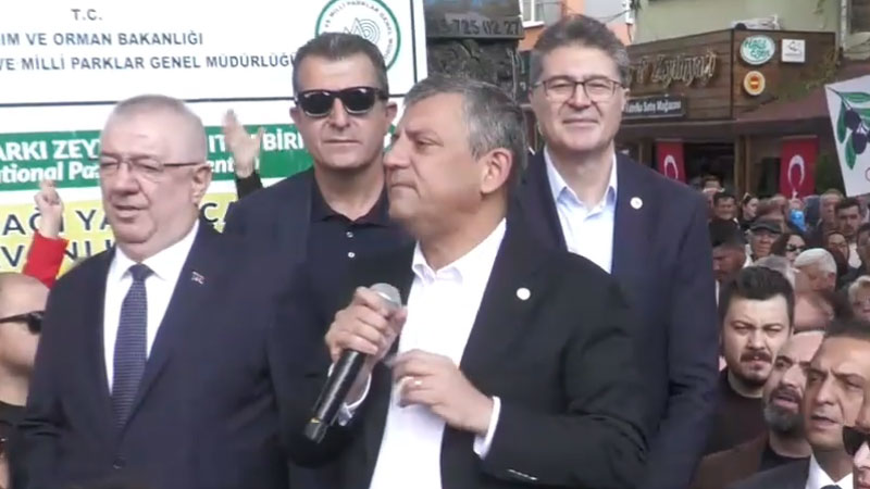 zogurzogel